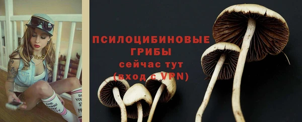 трава Алзамай