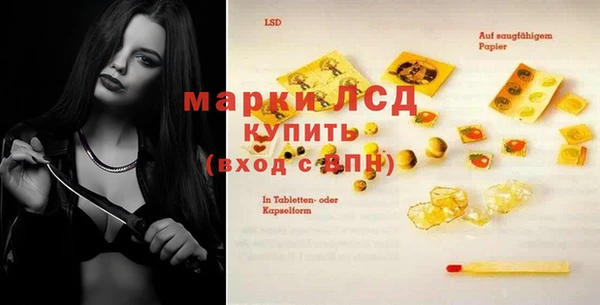 альфа пвп Новодвинск