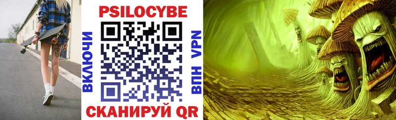 Псилоцибиновые грибы Psilocybe  Иркутск 