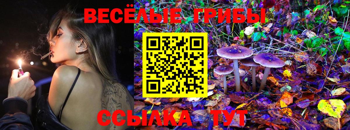 Галлюциногенные грибы Cubensis Иркутск