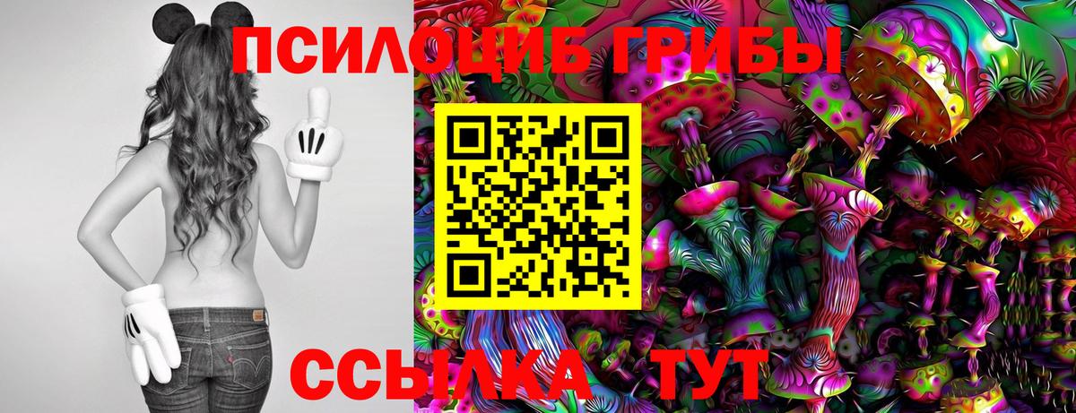 Галлюциногенные грибы Magic Shrooms  Галлюциногенные грибы мухоморы  где найти   Вход с VPN  Иркутск 