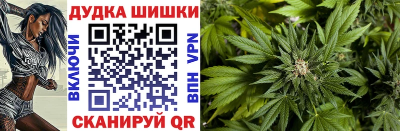 купить наркотик  Иркутск  гидра ССЫЛКА  Марихуана AK-47 